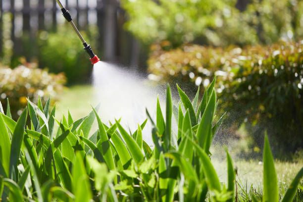 24/7 Emergency Cockroach Control experts in Hoopeston, IL